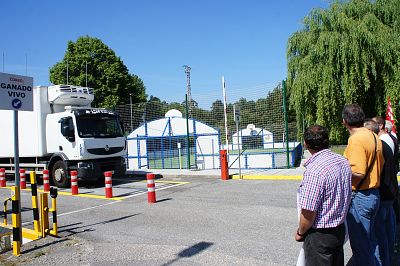 2016 08 06 ManifaServicarneFrigolouroPorrinho22.JPG